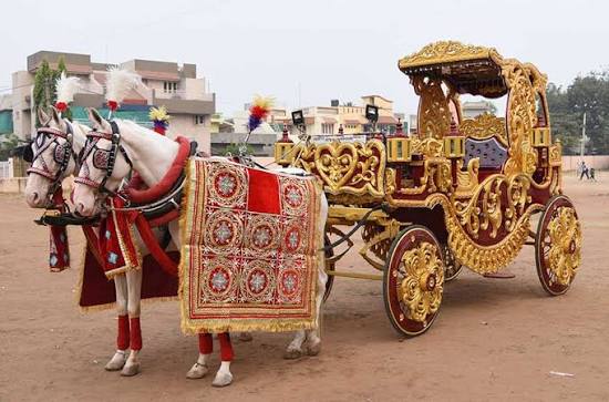 Punjabi & Nasik Dhol