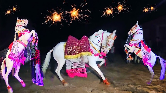 White Ghori & Dance Ghori